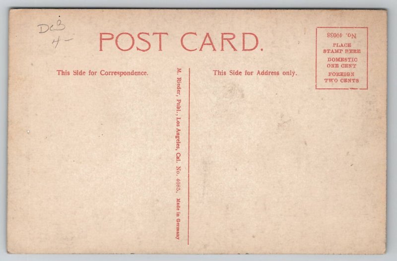 Coeur d'Arlene ID Hotel Idaho Postcard H42