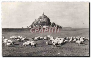 Mont Saint Michel Old Postcard Les pres dirty (sheep)
