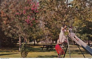 UPLAND , California , 50-60s ; Memorial Park Playground