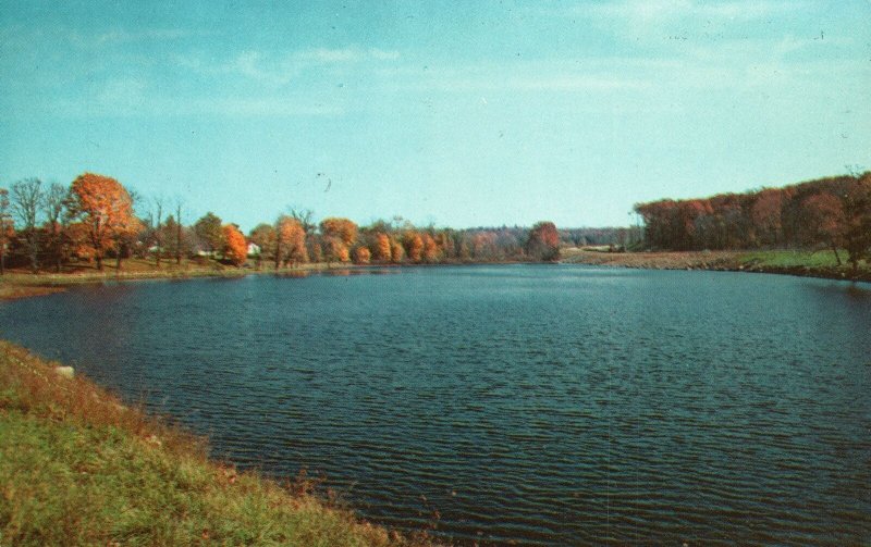 Postcard Scenic View Along New York State Thruway Few Miles North Of Suffren NY