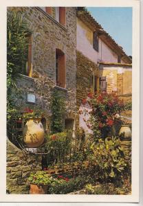 BF22367 bormes les mimosas loup pooulit cantoun france  front/back image