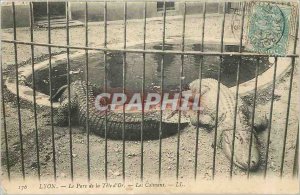 Old Postcard LYON-The Park of Tele or- Caimans Crocodile