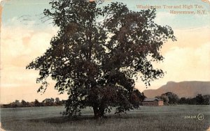 Washington Tree & High Tor Haverstraw, New York Postcard
