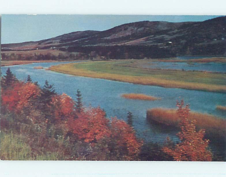 Unused Pre-1980 TOWN VIEW SCENE Margaree Valley - Cape Breton NS p8908