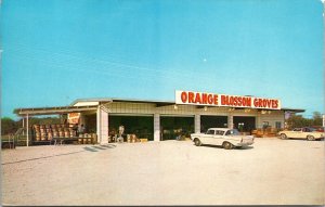 Orange Blossom Groves Store old cars Clearwater Florida Postcard