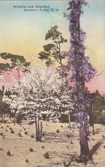 North Carolina Southern Pines Wisteria and Dogwood Handcolored Albertype