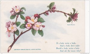 Apple Blossom,00-10s
