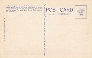 Cooksburg PA Pennsylvania Clarion River and Cook Forest from Fire Tower - Linen