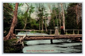 Rustic Foot Bridge Owan Sound Ontario Canada UNP DB Postcard T5