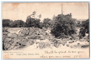 1905 Cargill Falls Putnam Connecticut CT The Rotograph Co. Antique Postcard