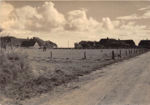 BG31762 sylt  germany  CPSM 14.5x10cm