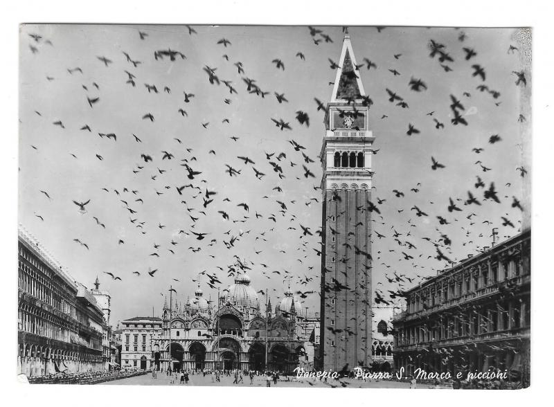 Italy Venezia Venice Piazza San Marco St Marks Square Glossy Photo 4X6 Postcard