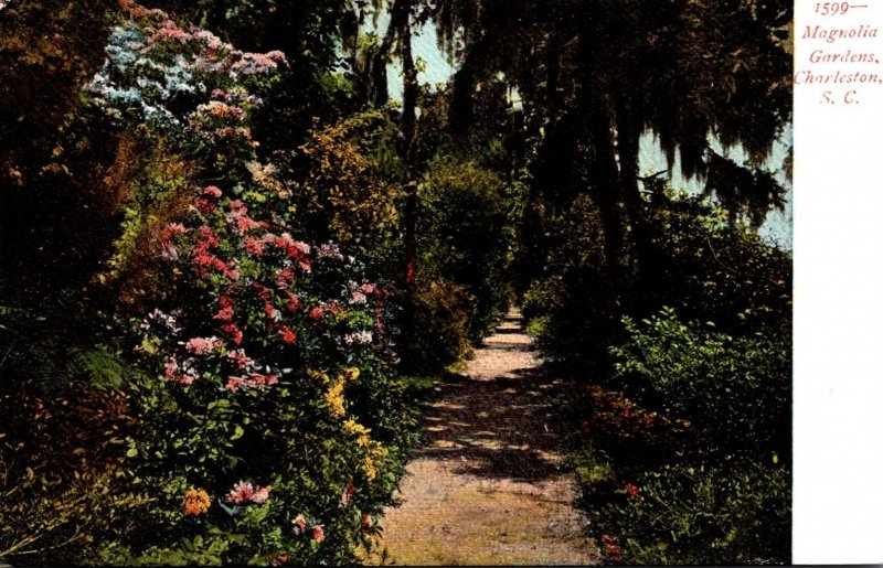 South Carolina CHarleston Magnolia Gardens