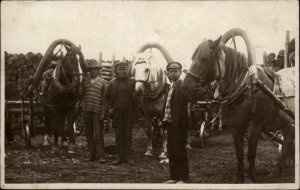 Yolked Work Horses & Men - Logging c1915 Real Photo Postcard