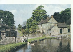 Derbyshire Postcard - Tissington - Showing Children and Swans - Ref TZ2248