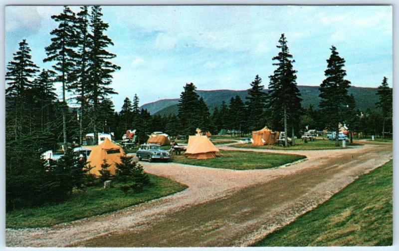 CAPE BRETON, NOVA SCOTIA Canada  INGONISH CAMP GROUNDS Tents c1950s  Postcard