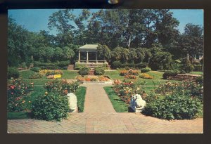 Beverly, Massachusetts/MA Postcard, Flowers & Shrubs At Lynch Park