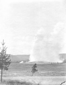 Real Photo, Yellowstone, c. 1920s, David Walker, signed