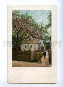 160880 Russia PETERSBURG Suburb Dacha Vintage postcard