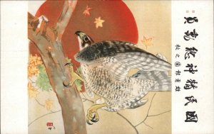 Japanese Art Bird Hawk in Tree Orange Sun Vintage Postcard