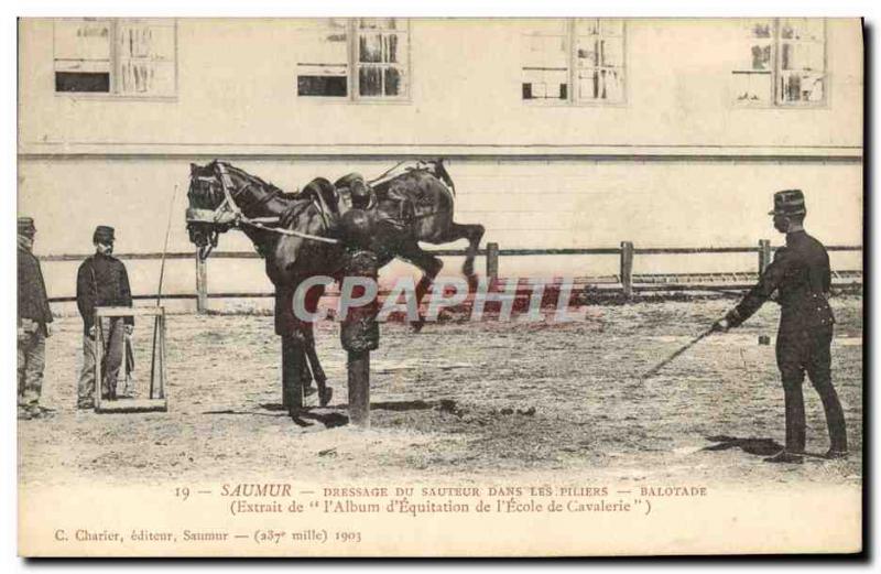 Old Postcard Saumur Horse Equestrian Dressage jumper in Balotage pillars