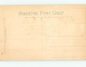 Unused Divided-Back PARK SCENE Tallahassee Florida FL hk8939