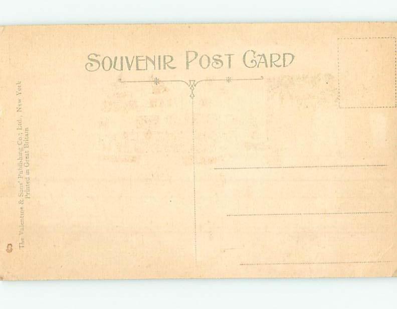 Unused Divided-Back PARK SCENE Tallahassee Florida FL hk8939