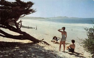 Monterey County CARMEL, CA Beach Scene 1955 Chrome Vintage Postcard