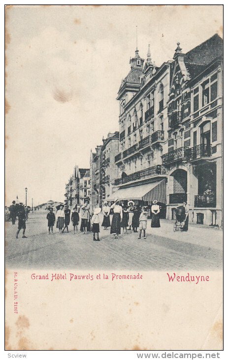 WENDUYNE - Grand Hotel Pauwels et la Promenade , Beligium , PU-1910