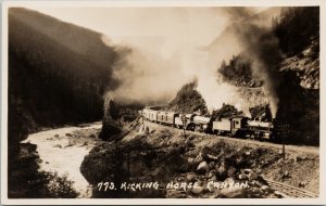 Byron Harmon #773 Kicking Horse Canyon Canada Train Unused RPPC  Postcard G45