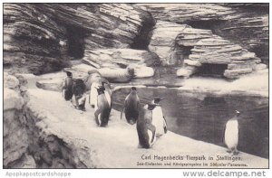 Hagenbecks Tierpark Stellingen Hamburg Walrus and Penguins Panorama