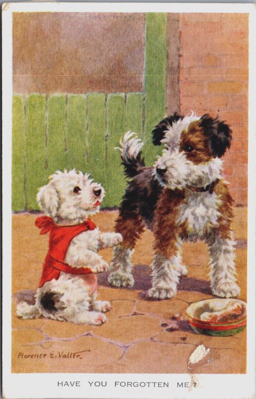 Dogs Florence E.Valler Puppies Vintage Postcard C174