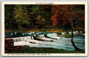 Lebanon Missouri~Bennet Spring State Park~Mill Dam Close Up~White Ducks~1929