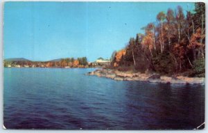 Postcard - A view along the shoreline, Rangeley Lakes - Rangeley, Maine