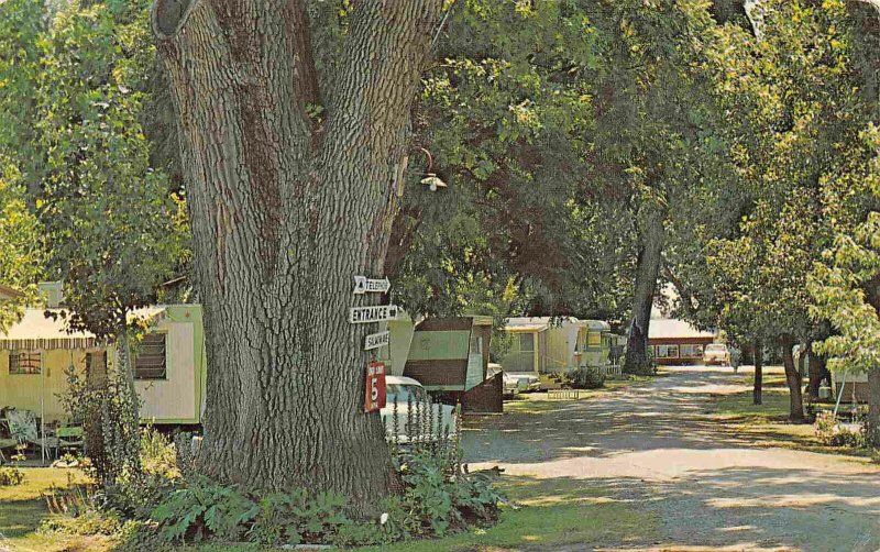 Riverside Sportsmans Resort Trailer Camp Ground Corning California 1969 postcard