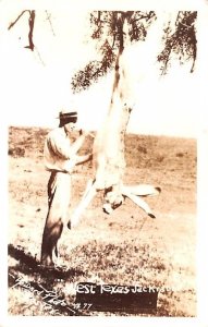 West Texas Jack Rabbit USA, real photo Unused 