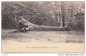 Fontainebleau-Barbizon.-Le Briaree , France, 00-10s