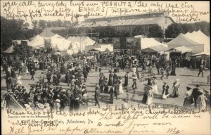 Allentown Pennsylvania PA County Fair Ferris Wheel Mainway c1910 Postcard