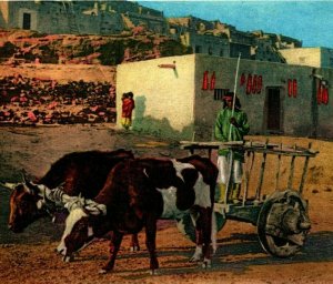 Old Caretta Pueblo Laguna NM   Fred Harvey Phostint Detroit Publishing UNP P10