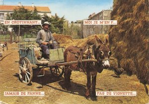 Horse cart and driver French publicity postcard. Continental size