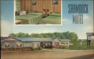 Selma AL Shamrock Motel Linen Postcard