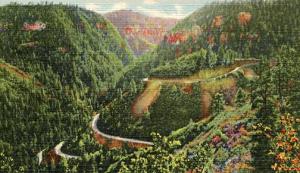 AZ - Oak Creek Canyon Roadway