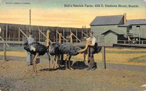 Hill's Ostrich Farm Madison Street Seattle Washington 1916 postcard