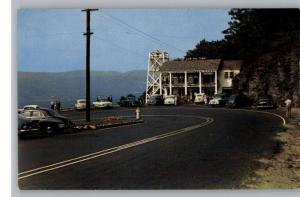 Postcard--Mohawk Trail Hairpin Turn..Massachusetts/MA