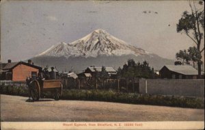 Stratford New Zealand NZ Mount Egmont c1910 Vintage Postcard