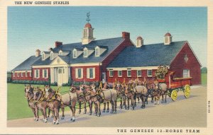 New Genesee Stables - Genesee 12-Horse Team - Rochester, New York - Linen