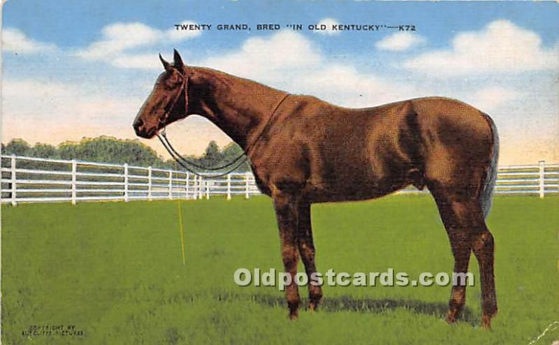 Twenty Grand, Bred, Mrs Payne Whitney's Greentree Farm Lexington, KY , USA Ho...