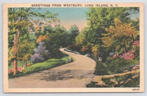 Linen~Road By Westbury Long Island New York~Vintage Postcard
