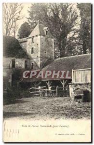 Old Postcard Corner Farm near Falaise Normandy Cows