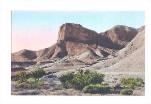 LP63    Guadalupe Mountains,  Texas, TX, Postcard,  Signal 